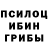 Галлюциногенные грибы Psilocybine cubensis _Kimball___