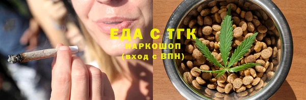 индика Балахна