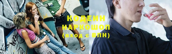 индика Балахна