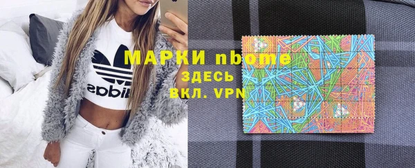 индика Балахна