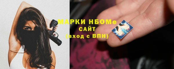 индика Балахна