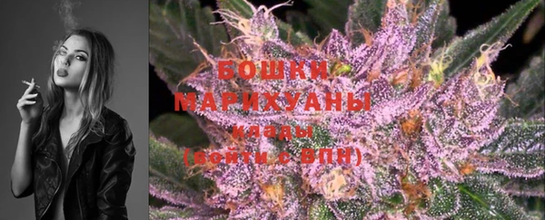 индика Балахна