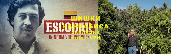 индика Балахна
